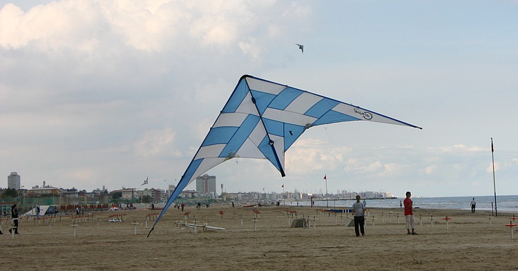 un Masque del team Carnival